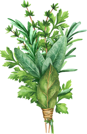 Bunch of herbs watercolor