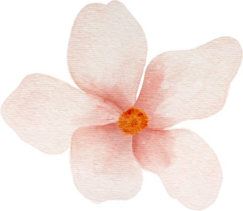 Watercolor Flower Illustration